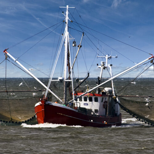 Fishing-in-North-Sea-Square-qgqwa32e26i6rm56yeyqle5mpbnwqfedlhd75qv820 Fishing-in-North-Sea-Square-qgqwa32e26i6rm56yeyqle5mpbnwqfedlhd75qv820